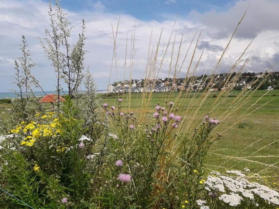 Maison Entiere La Longe'Yeres Saint-Martin-le-Gaillard Екстериор снимка